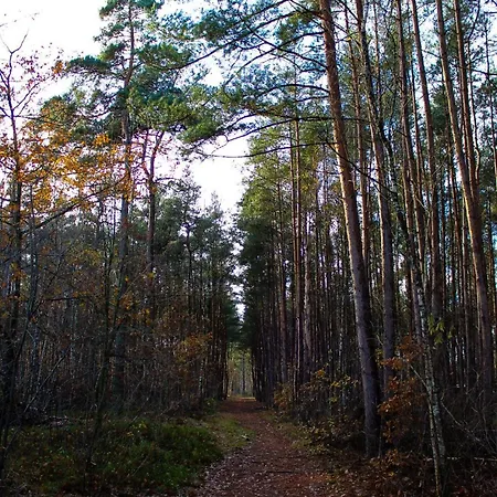 Chalet Bos Chalet “Relaxed”