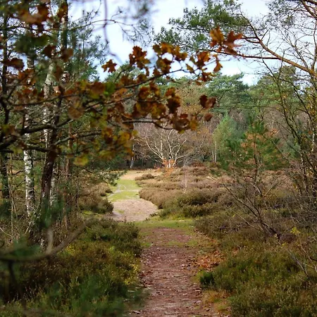 Bos Chalet “Relaxed” Chalet Doornspijk