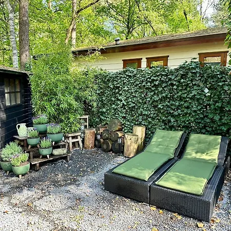 Chalé Bos “relaxed” *