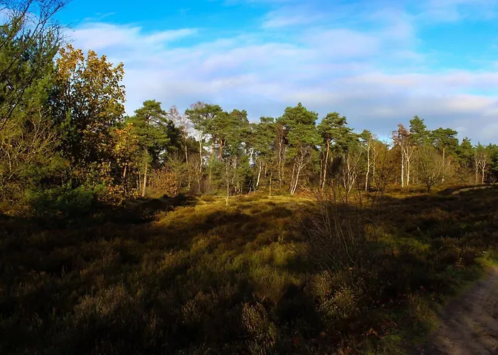 샬레 Bos Chalet “Relaxed” Doornspijk