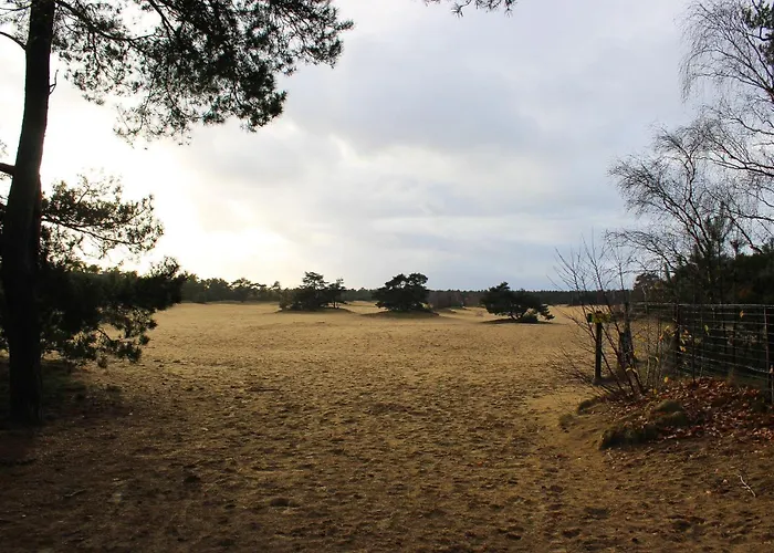 Bos Chalet “Relaxed”