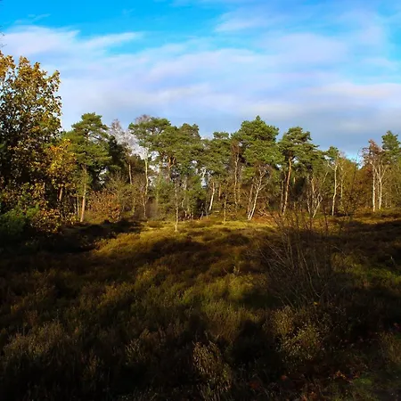 木屋 Bos “relaxed” Doornspijk