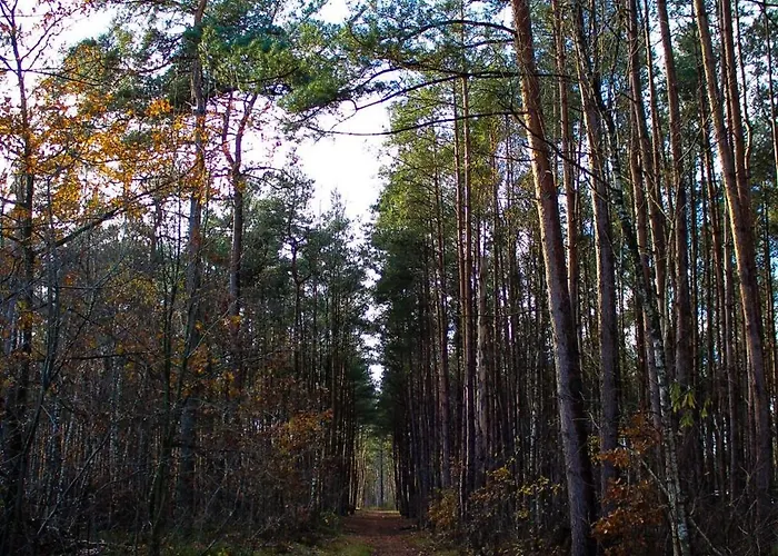 木屋 Bos “relaxed”