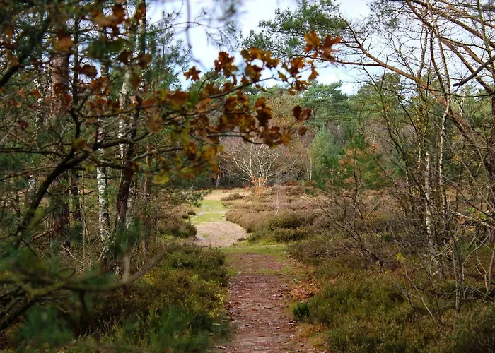 Bos “relaxed” 木屋 Doornspijk